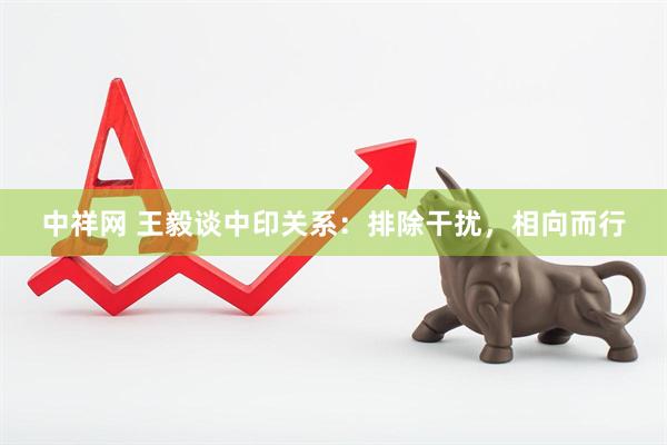 中祥网 王毅谈中印关系：排除干扰，相向而行