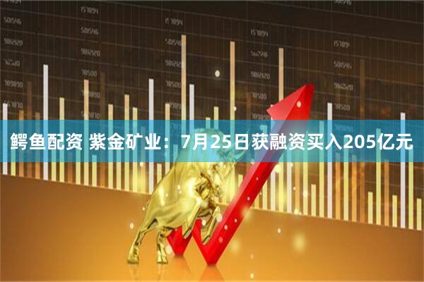 鳄鱼配资 紫金矿业:7月25日获融资买入205亿元