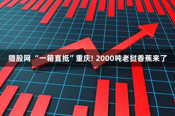 猎股网 “一箱直抵”重庆! 2000吨老挝香蕉来了